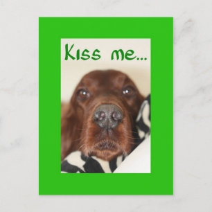 Cartão Postal Beije-me, sou irlandês