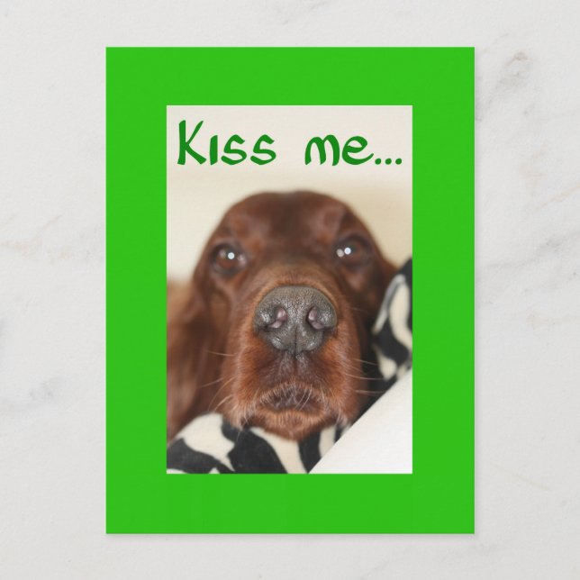 Cartão Postal Beije-me, sou irlandês (Frente)