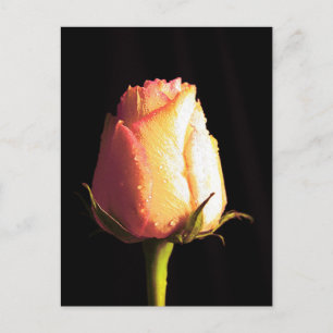 Cartão Postal Beijo da Chuva