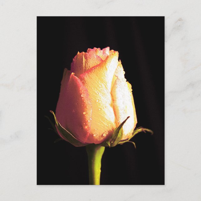 Cartão Postal Beijo de Chuva (Frente)