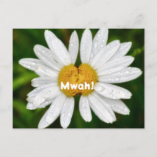 Cartão Postal Beijos de Margarida Aniversário Amor de Valentim S