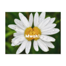 Beijos de Margarida Aniversário Amor de Valentim S