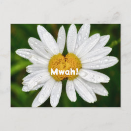 Cartão Postal Beijos de Margarida Aniversário Amor de Valentim S