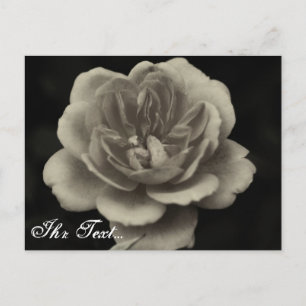 Cartão Postal Beileidskarte