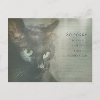 Cartão Postal Beileidskarte Katze - Schwarz - Sympathy Card