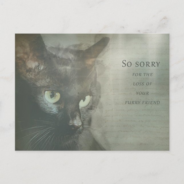 Cartão Postal Beileidskarte Katze - Schwarz - Sympathy Card (Frente)