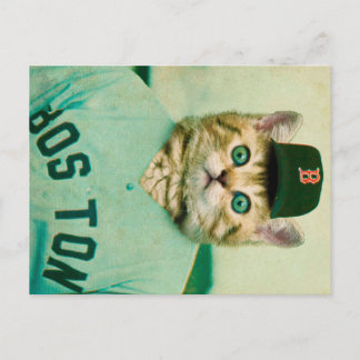 Cartão Postal Beisebol Cat