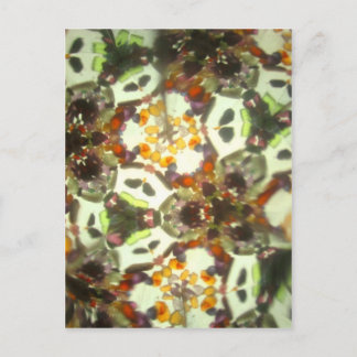 Cartão Postal Bejeweled Kaleidoscópio 26