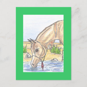 Cartão Postal "Bejh bint Ahwa"