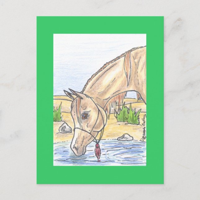 Cartão Postal "Bejh bint Ahwa" (Frente)