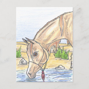 Cartão Postal "Bejh bint Ahwa"