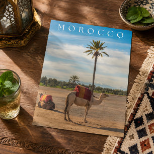 Cartão Postal Bela Aventura de Camelo no Deserto de Marrakech