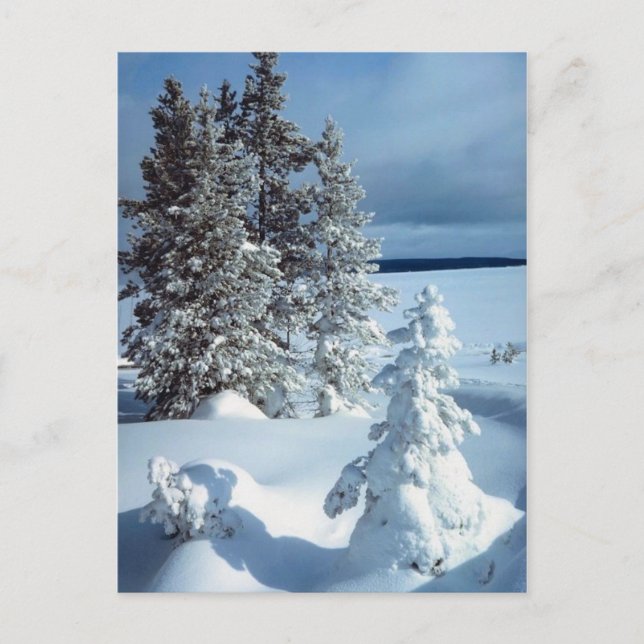 Cartão Postal Bela cena de inverno (Frente)