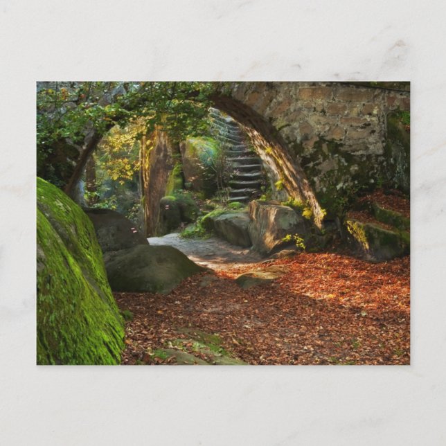 Cartão Postal Bela cena de outono (Frente)