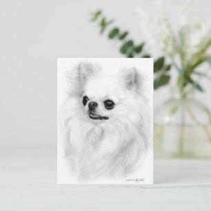Cartão Postal Bela Chihuahua - Trabalho de arte pintada à mão