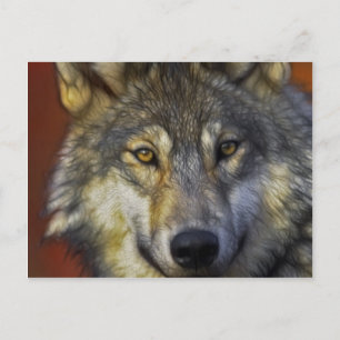 Cartão Postal Bela cinza artística, lobo retrato