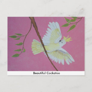 Cartão Postal Bela Cockatoo