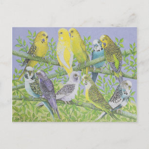 Cartão Postal Bela conversa