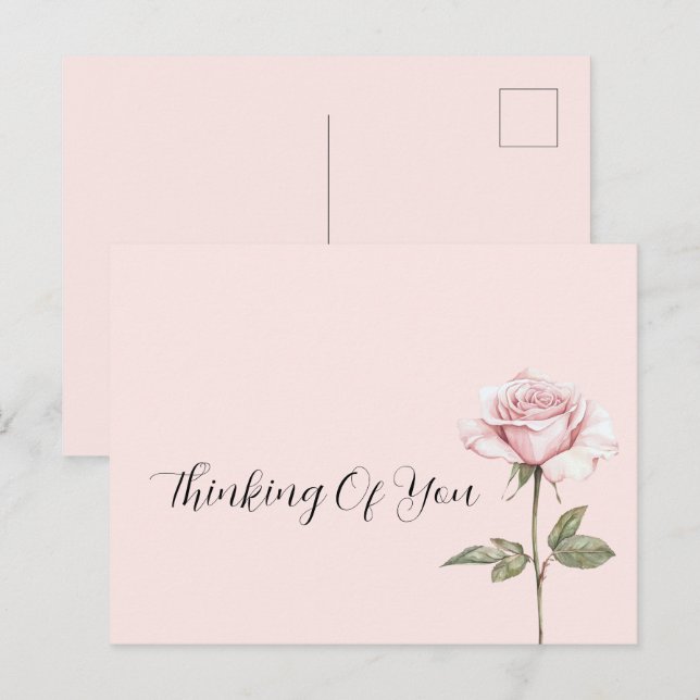 Cartão Postal Bela Flor Rosa Rosa (Frente/Verso)