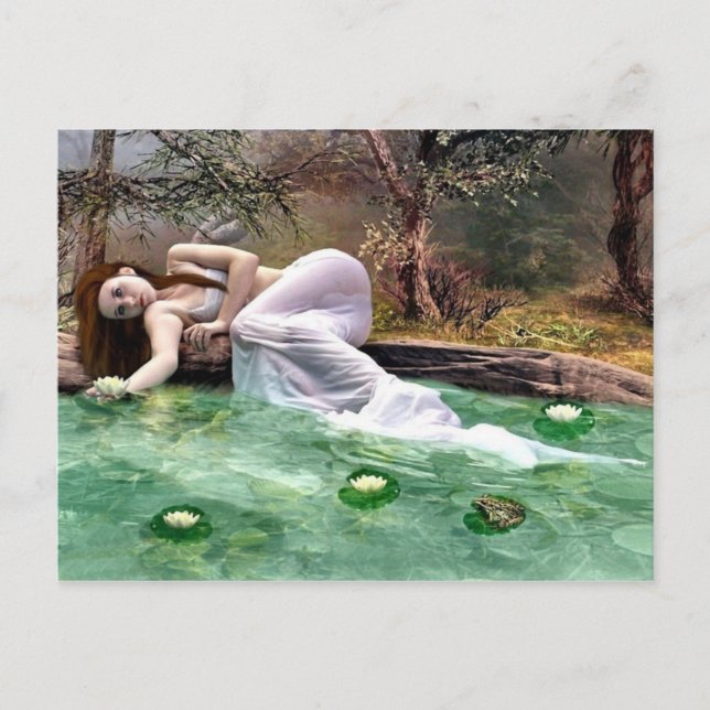 Cartão Postal Bela lírio de água (Frente)