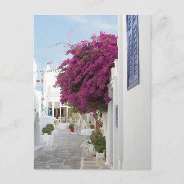 Cartão Postal Bela Mykonos (Frente)