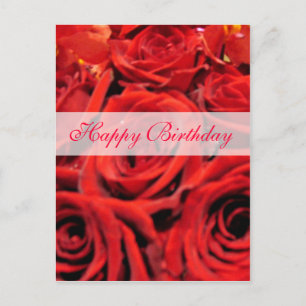Cartão Postal Bela Rosa vermelha Feliz Aniversário