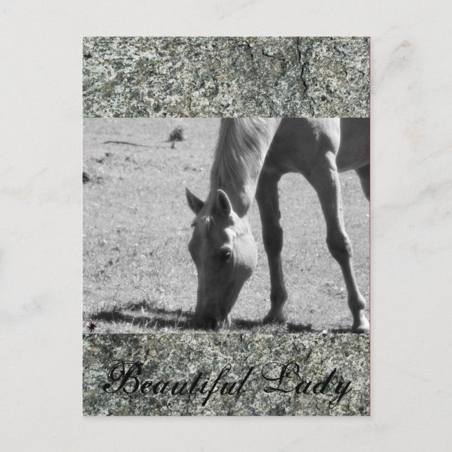 Cartão Postal Bela Senhora (Frente)