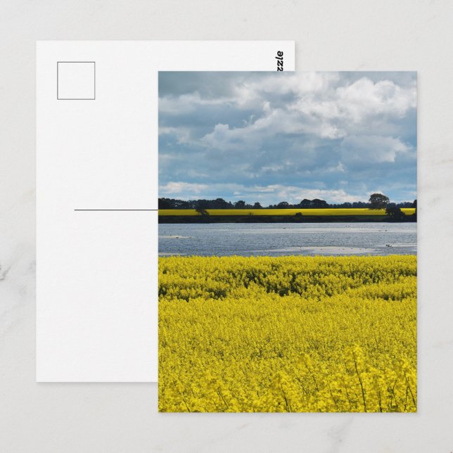 Cartão Postal Bela Streatham Dramática (Frente/Verso)