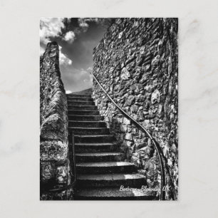 Cartão Postal Belas Artes, Passos Bárbaros, Plymouth