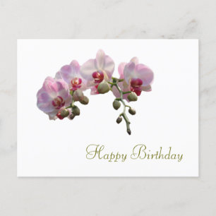 Cartão Postal belas flores de orquídea rosa feliz aniversário