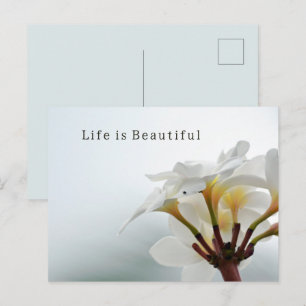 Cartão Postal Belas Flores de Plumeria de Kauai (foto tirada por