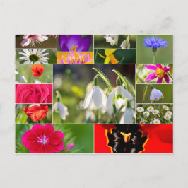 Cartão Postal Belas flores para sentimentos de primavera e verão
