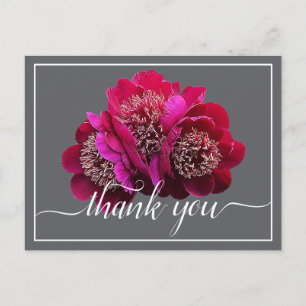Cartão Postal Belas Peônias Vermelhas Fundo Cor Agradecimento