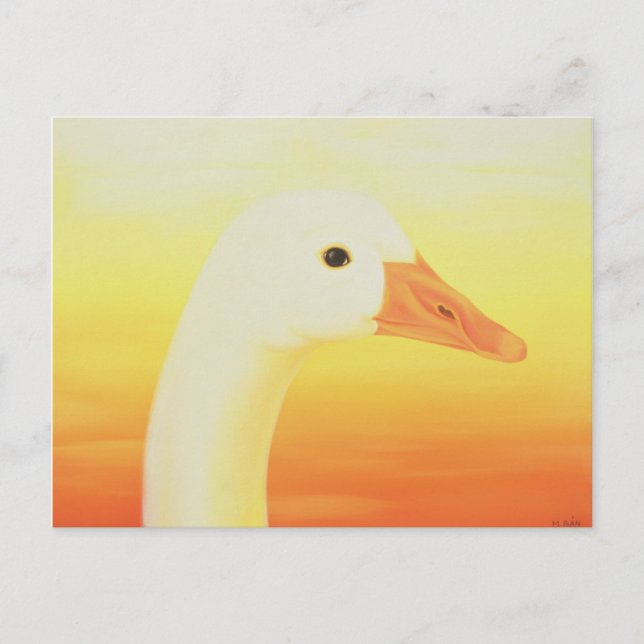 Cartão Postal Beleza 1998 (Frente)