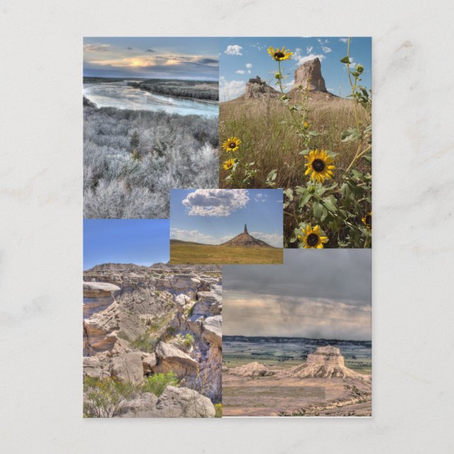 Cartão Postal Beleza do Cartaz de Nebraska (Frente)
