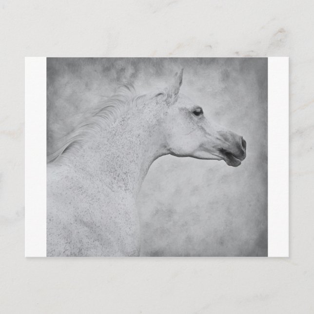 Cartão Postal Beleza do eterno (Frente)