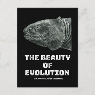 Cartão Postal Beleza do tubarão evolutivo