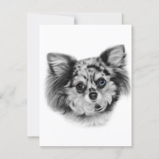 Cartão Postal Beleza Merle - Retrato Chihuahua pintado à Mão