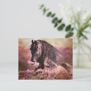 Cartão Postal Beleza Negra Cavalo Frísia - Cartão-postal