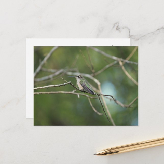 Cartão Postal Beleza Sutil (Frente/Verso In Situ)