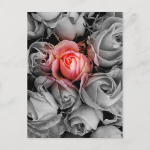 Cartão Postal Beleza Única