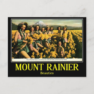 Cartão Postal Belezas no vale de Puyallup, vintage