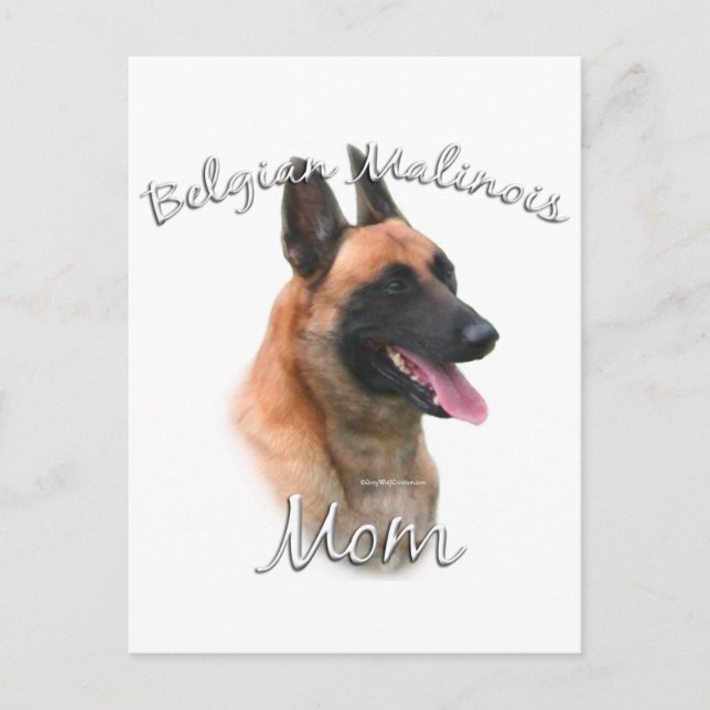 Cartão Postal Belga Malinois Mãe 2 (Frente)
