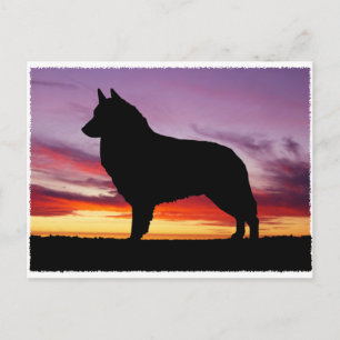 Cartão Postal Belga Tervuren