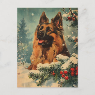 Cartão Postal Belga Tervuren Natal