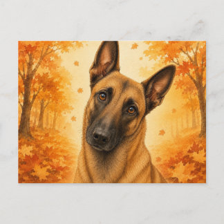 Cartão Postal Belgian Malinois Autumn Forest Dog