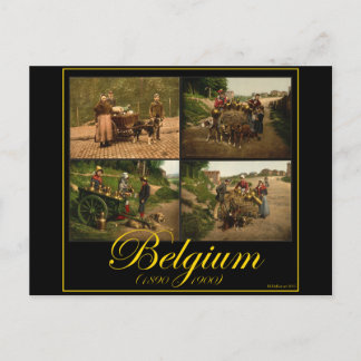 Cartão Postal Bélgica Vendedor de Leite de Cães-Carrinho