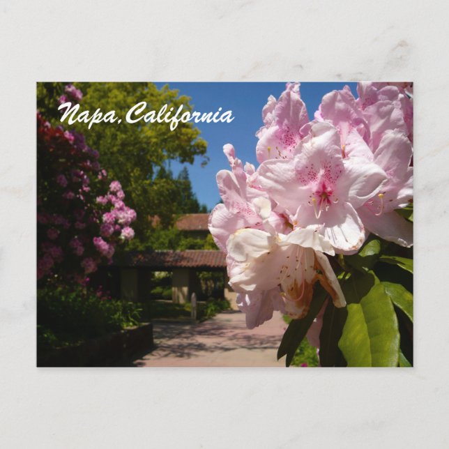 Cartão Postal Belíssimo Mont La Salle (Frente)