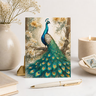 Cartão Postal Belíssimo Pavão