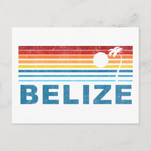 Cartão Postal Belize da Árvore de Palma Retroativa